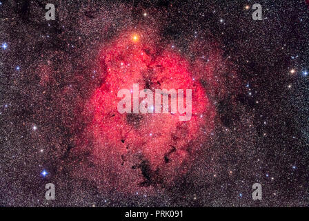 La grande région d'étoiles en formation de l'IC 1396, Céphée dans prises le 5 septembre 2018 à la maison dans le sud de l'Alberta. Le large champ inclut la couleur orange Banque D'Images