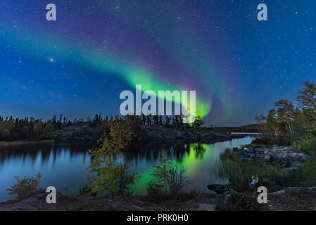 Un affichage de Northern Lights à partir jusqu'au crépuscule, sur la rivière menant hors de Tibbitt Lake, à la fin de la route Ingraham Trail près de Yellowknif Banque D'Images