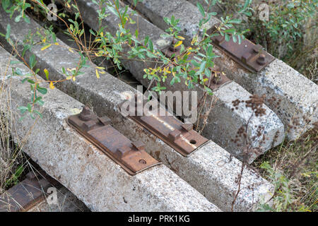 Traverses en Béton Armé destinés à l'industrie ferroviaire. Documents préparés pour la construction de la ligne de chemin de fer. Saison de l'automne. Banque D'Images