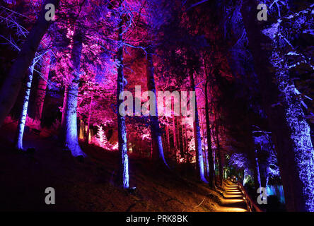 À l'embargo 1900 Mercredi 03 octobre La Forêt Enchantée Festival son et lumière en bois à Pitlochry Faskally. Banque D'Images