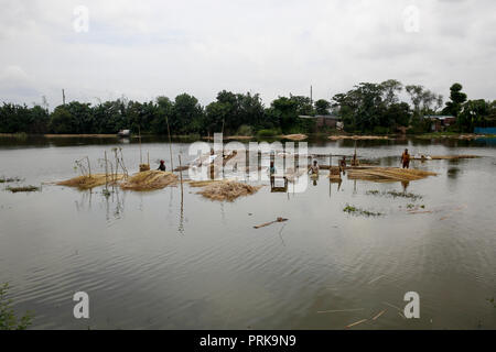 Lave-agriculteurs jute à Modhukhali à Faridpur, Bangladesh Banque D'Images