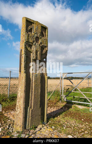 L'Orland St. Pierre, une grande croix Picte-dalle, entre Glamis et Forfar, Angus, Scotland. Banque D'Images