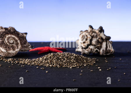 Beaucoup de graines de chia tacheté frais entier avec étoile de mer rouge et les coquillages avec dégradé bleu en arrière-plan Banque D'Images