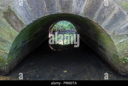 Pierre étroit tunnel voûté sous un pont avec de l'eau qui la traverse. Banque D'Images