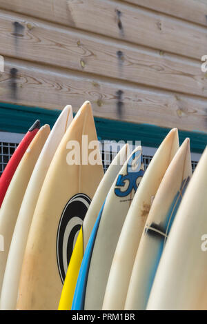 Reflétant le monde de surf, planches à voile, surf et activités / Vie à Newquay, Cornwall. Accueil de Boardmasters Festival. Banque D'Images