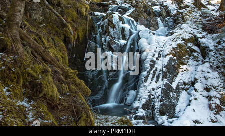 Icy, cascade de glace avec les racines des arbres et de la neige en Norvège Banque D'Images