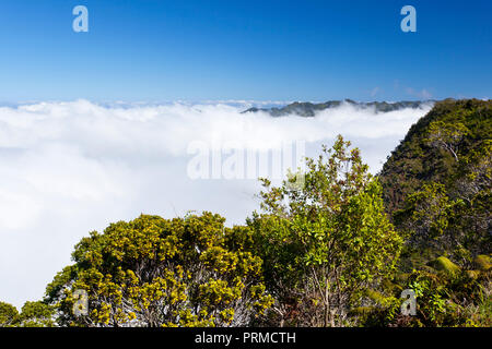 La fameuse Kalalau Valley à gauche complètement couvert de nuages à Kauai, Hawaï. Banque D'Images