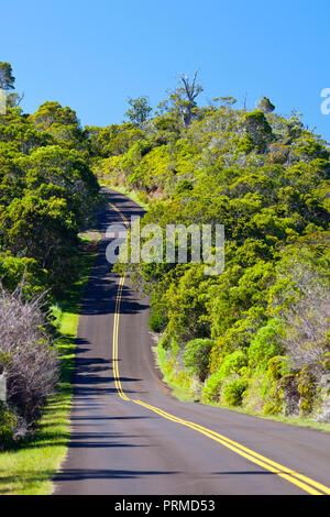 Le Kokee State Park road through rainforest à Kauai, Hawaï. Banque D'Images