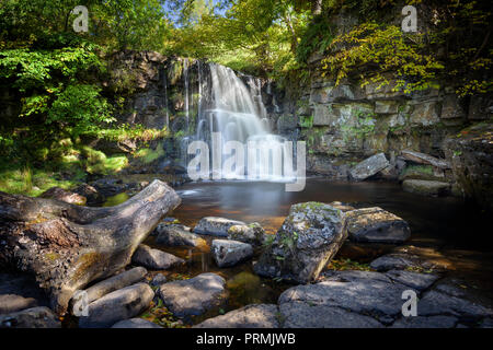 Gill est cascade de la Force sur la rivière Swale dans Swaledale près du Pennine Way entre Keld et Muker dans le nord Yorkshire Dales Banque D'Images