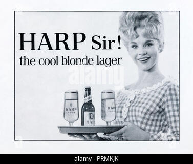 Une publicité Publicité 1960 Harp lager. Banque D'Images