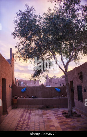 Tôt le matin au Riad dans le désert du Sahara, Merzouga, Maroc. Bel arbre dans la cour. La grande dunes de sable sur l'horizon Banque D'Images