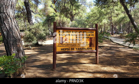 25 août 2018 - face est une ville de villégiature sur la côte méditerranéenne du sud de la Turquie, dans la province d''Antalya. Ce qui signifie, dans l'Anatolie antique de grenade, est une ancienne ville portuaire connue pour ses longues plages et ses ruines gréco-romaine. C'est une station touristique offrant des infrastructures touristiques et des installations. Side est une ancienne ville grecque et il a plusieurs ruines gréco-romaine, qui incluent un amphithéâtre bien conservé, les piliers d'un temple d'Apollon, la façade d'une bibliothèque classique, le bâtiment blanc en colonnes du temple hellénistique d'Athena et d'un bain romain restauré Banque D'Images