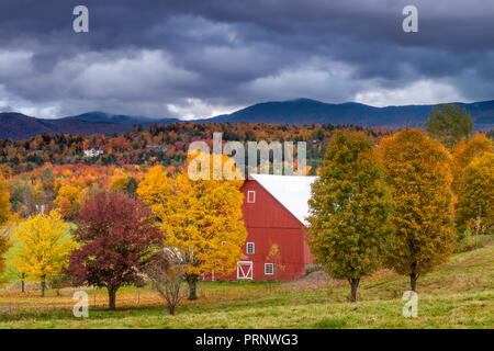 Automne feuillage entourant grange rouge près de Stowe, Vermont, Etats-Unis Banque D'Images