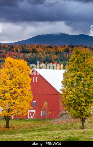 Automne feuillage entourant grange rouge près de Stowe, Vermont, Etats-Unis Banque D'Images