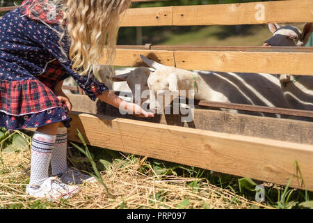 Image recadrée de nourrir des chèvres à la ferme pour enfants Banque D'Images