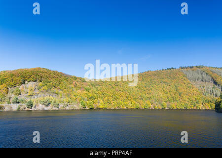 Vue de la rive du lac Rursee dans l'Eifel en Allemagne en automne. Banque D'Images