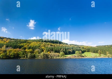 Vue de la rive du lac Rursee dans l'Eifel en Allemagne en automne. Banque D'Images