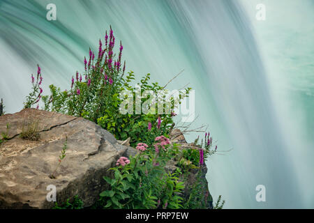 Niagara Falls avec écoulement de l'eau rêve flou Banque D'Images