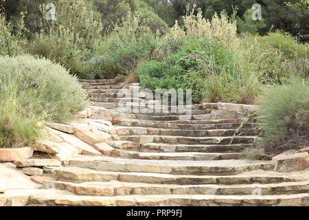 Grandes étapes en cascade, avec des mosaïques sur les débarquements, menant à l'Acacia jardin avec des acacias dans le Jardin botanique de l'ouest de l'Australie, Perth. Banque D'Images