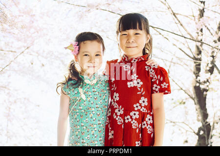 Deux adorables cheongsam girl durant la saison du nouvel an chinois . Banque D'Images