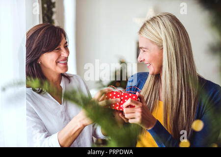 A senior woman giving a present pour une fille adulte à la maison au moment de Noël. Banque D'Images