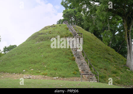 Belize, en Amérique centrale Belize, Altun Ha Temple. Banque D'Images