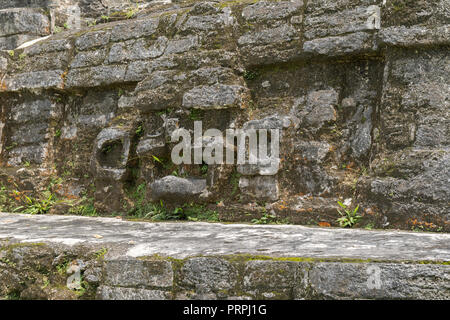 Belize, en Amérique centrale Belize, Altun Ha Temple. Banque D'Images