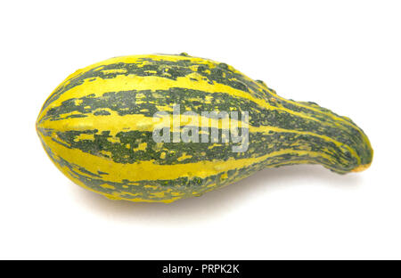 Une longue et verte ou Gourd Courge jaune sur fond blanc Banque D'Images