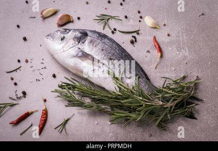 Poisson frais dorado. Dorado et ingrédients culinaires - romarin, les épices, l'ail, le thym, les herbes. Concept de cuisson. Sur fond noir en lumière. Banque D'Images