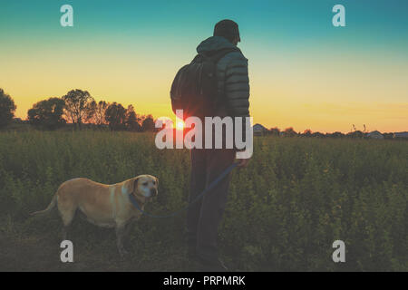 Un homme avec le Labrador retriever chien marche dans le domaine à l'automne. L'homme détient le chien sur la laisse et contemplant le coucher du soleil Banque D'Images