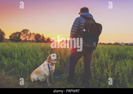 Un homme avec le Labrador retriever chien marche dans le domaine à l'automne. L'homme détient le chien sur la laisse et contemplant le coucher du soleil Banque D'Images
