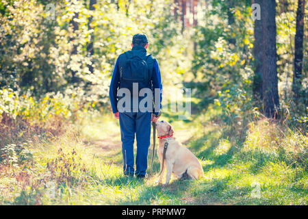 Un homme avec le Labrador retriever dog balade dans la forêt de pins à l'automne. L'homme détient le chien sur la laisse Banque D'Images