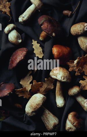 Vue de dessus de diverses matières des champignons comestibles et des feuilles sèches sur un tissu noir Banque D'Images