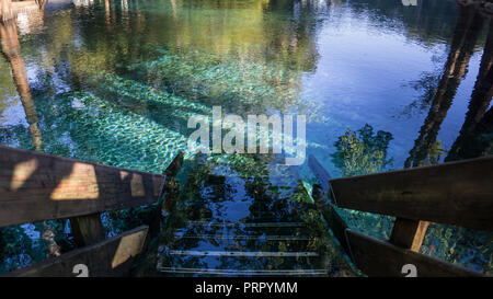 Escalier en bois étapes allant jusqu'à l'eau turquoise cristalline de Ginnie Springs, en Floride. Dans la région de Santa Fe river Banque D'Images