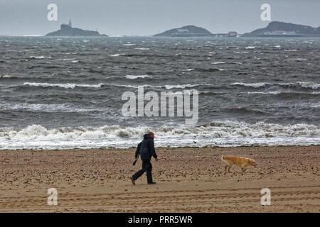 Un homme promène son chien sur la plage avec vue sur le village de Mumbles, Swansea, Wales, UK Banque D'Images