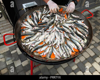 Le chef couper beaucoup de petit chinchard noir une grande casserole pour la cuisson sur le grill. L'alimentation naturelle Banque D'Images