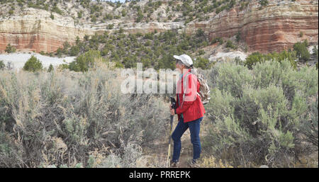 Pris sa retraite Caucasian woman la randonnée à travers la végétation sèche dans la région de Zion dans l'Utah Banque D'Images