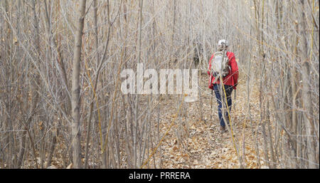 Senior woman aventureux avec personnel marche randonnée à travers forêt d'arbres morts Banque D'Images