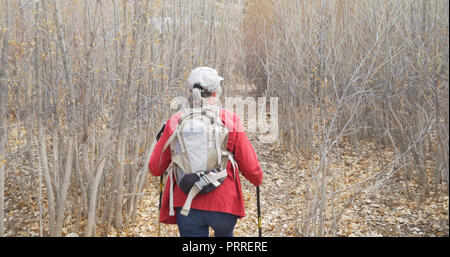 Happy female hiker marcher dans les feuilles mortes et les arbres à l'extérieur Banque D'Images