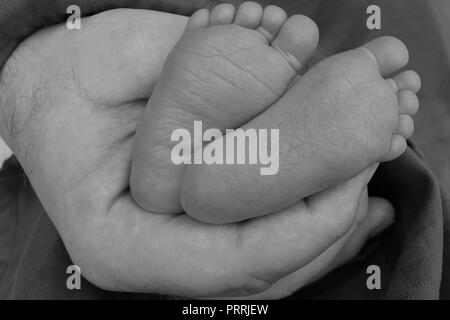 Les pieds de bébé père tient dans sa main en noir et blanc Banque D'Images