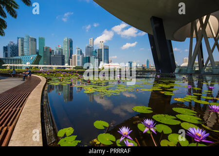 Bassin de Lotus au musée des Sciences de l'Art. L'arrière-plan est le quartier des affaires de Singapour avec de nombreux gratte-ciels commerciaux. Banque D'Images