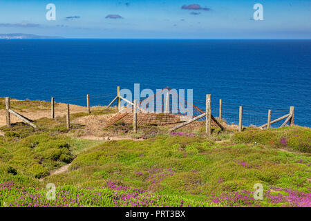 Puits de mine abandonné qui a été recouvert, sur la côte nord des Cornouailles près de St Agnes tête, à côté de la south west coast path. Banque D'Images