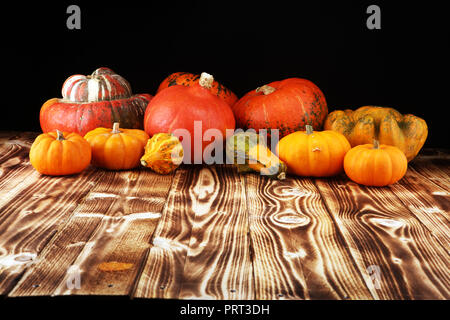 Assortiment varié de citrouilles sur un fond de pierre. Chasse d'automne. Banque D'Images