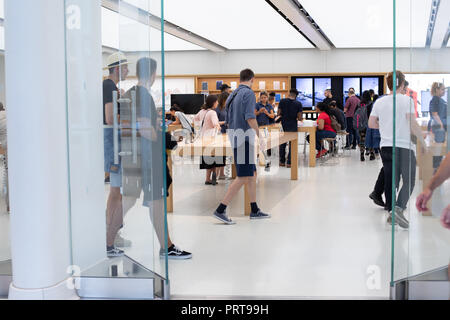 NEW YORK - Août 2018 : Apple store à Oculus, World Trade Center Transportation Hub à New York, USA Banque D'Images
