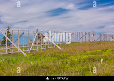 L'île du Cap-Breton, Nouvelle-Écosse, Canada - Moose exclos clôture sur le sentier Skyline à Cape Breton Highlands National Park. Banque D'Images