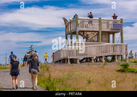 L'île du Cap-Breton, Nouvelle-Écosse, Canada - Personnes à une tour d'observation de l'orignal en cages sur le sentier Skyline à Cape Breton Highlands National Park. Banque D'Images