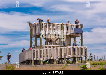 L'île du Cap-Breton, Nouvelle-Écosse, Canada - Personnes à une tour d'observation de l'orignal en cages sur le sentier Skyline à Cape Breton Highlands National Park. Banque D'Images