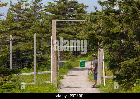 L'île du Cap-Breton, Nouvelle-Écosse, Canada - Un goût à la porte de clôture d'exclusion de l'orignal sur le sentier Skyline à Cape Breton Highlands National Park. Banque D'Images