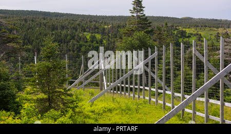 L'île du Cap-Breton, Nouvelle-Écosse, Canada - Moose exclos clôture sur le sentier Skyline à Cape Breton Highlands National Park. Banque D'Images