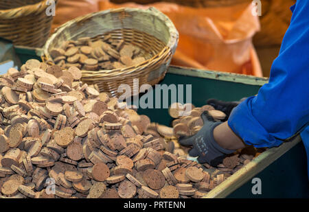 En d'écorce du chêne-liège (Quercus suber) pour la production de bouchons pour bouteilles de champagne, Cork factory Nova Cortica, Sao Bras de Alportel, Banque D'Images